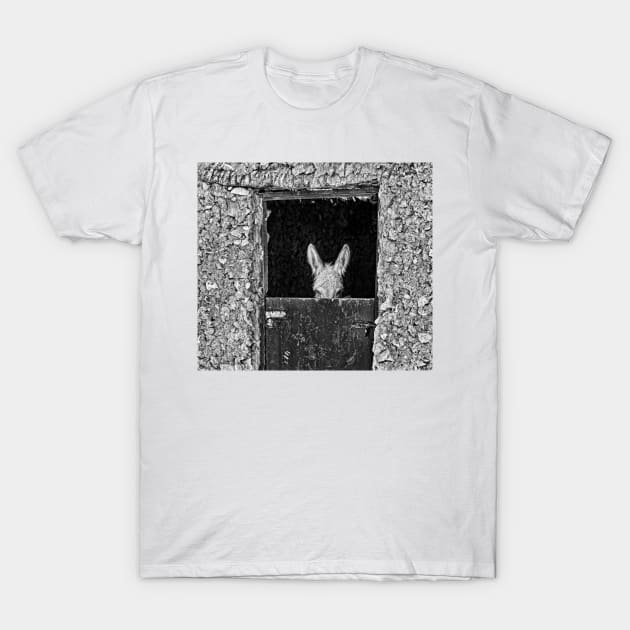 Donkey. T-Shirt by bulljup